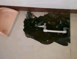 汇川卫生间测漏水多少钱